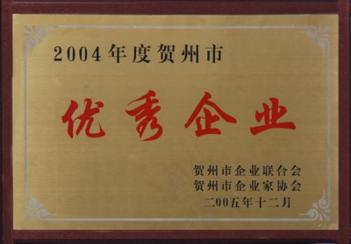 2004年 2004年度廣西優(yōu)秀企業(yè)